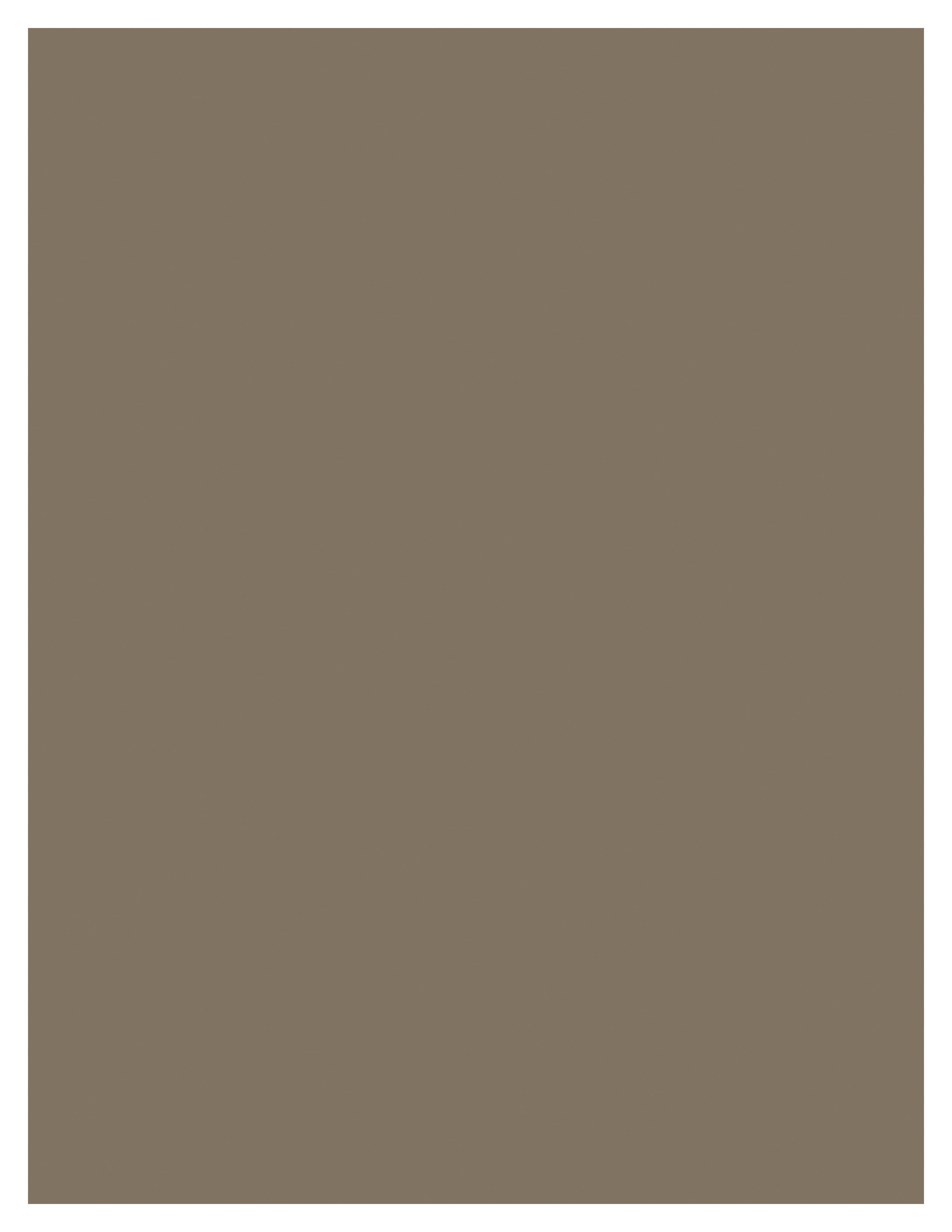 Shitake-8511_Shitake-Cardstock Warehouse