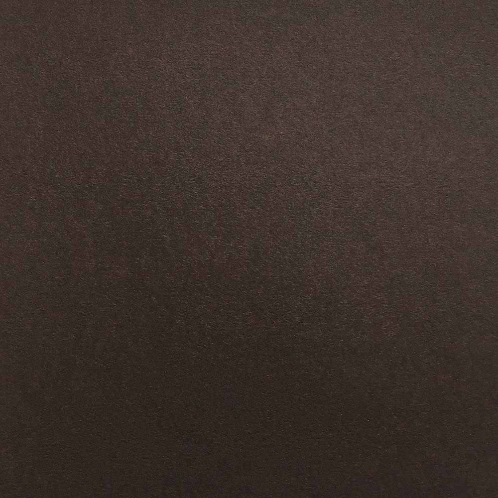 Bitter Chocolate | Colorplan Cardstock