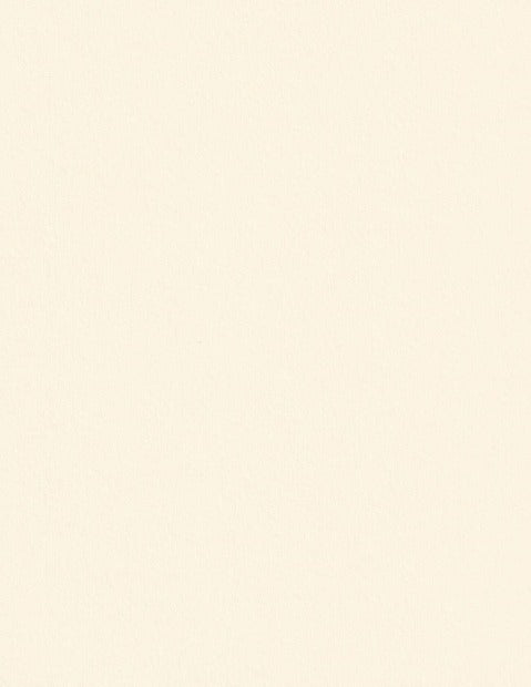 Colorplan China White Cardstock