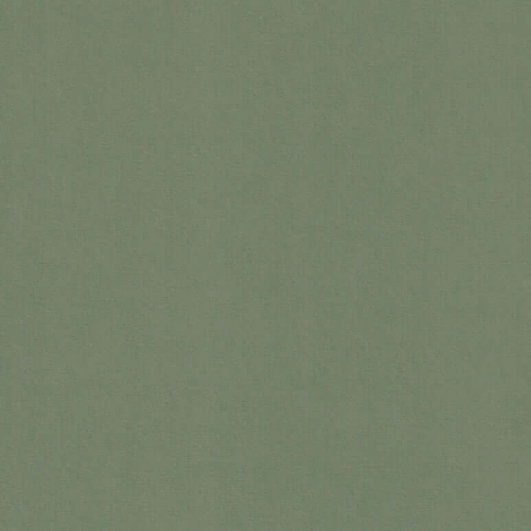 Mid Green Colorplan Cardstock