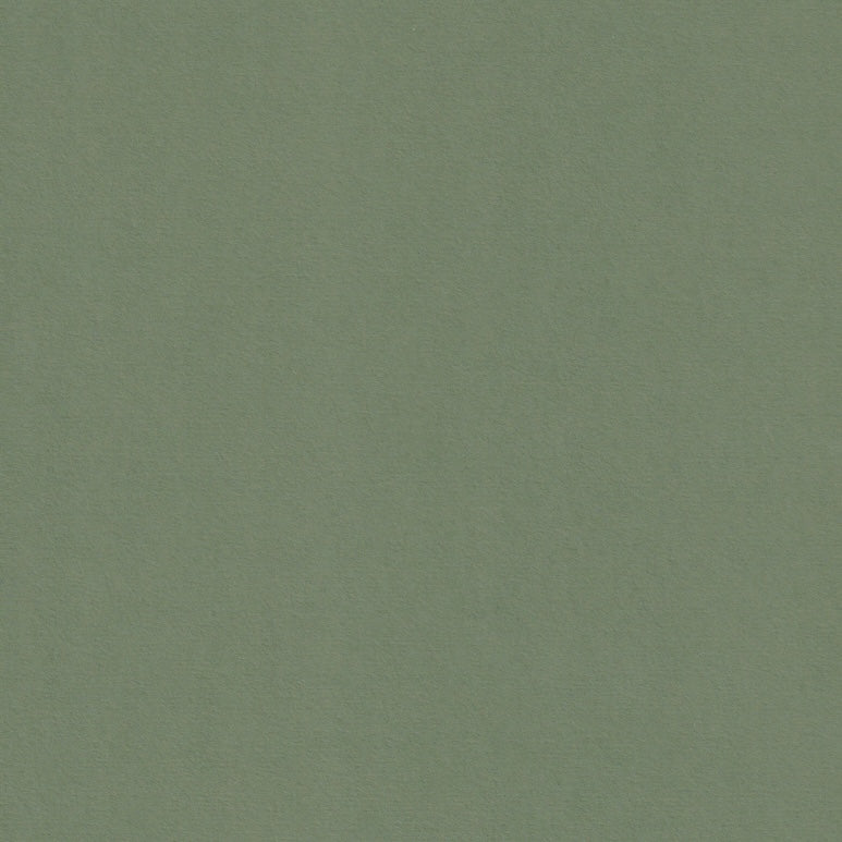 Mid Green Colorplan Cardstock