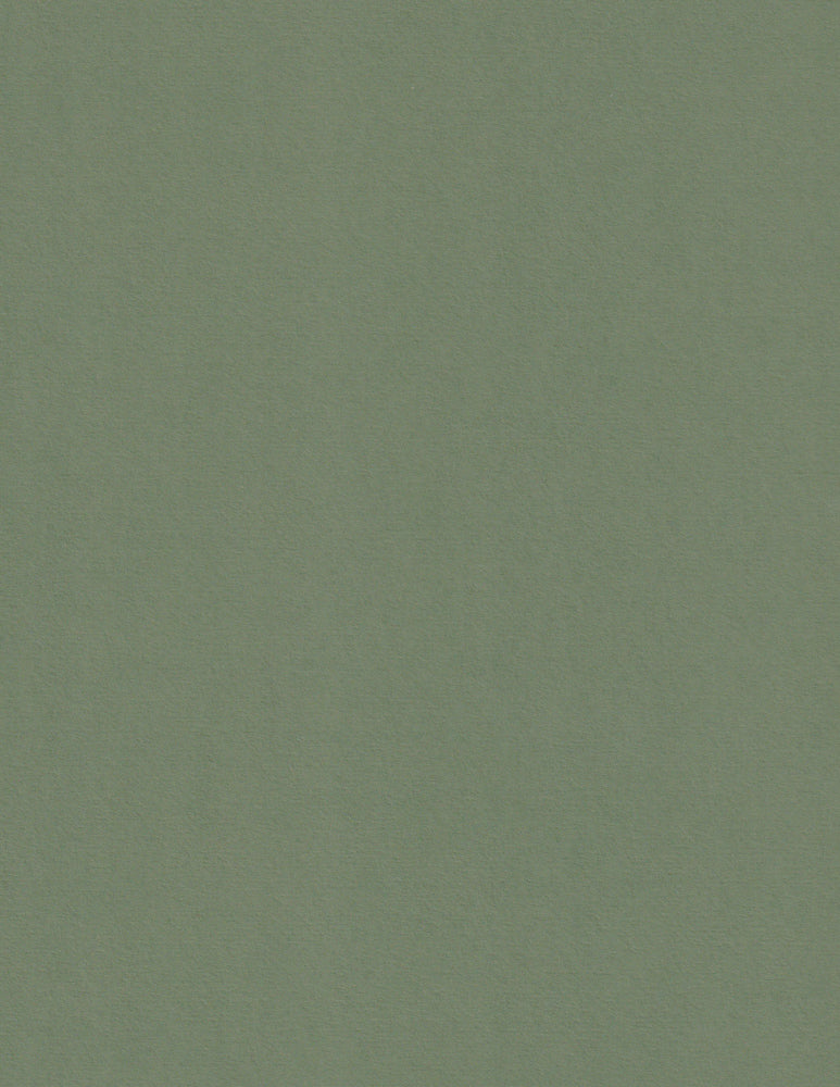 Mid Green Colorplan Cardstock