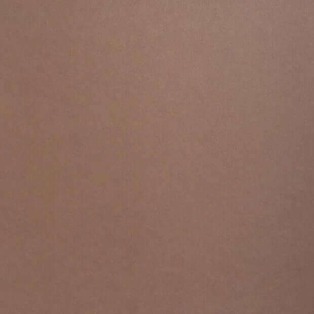 Nubuck Brown Colorplan Cardstock