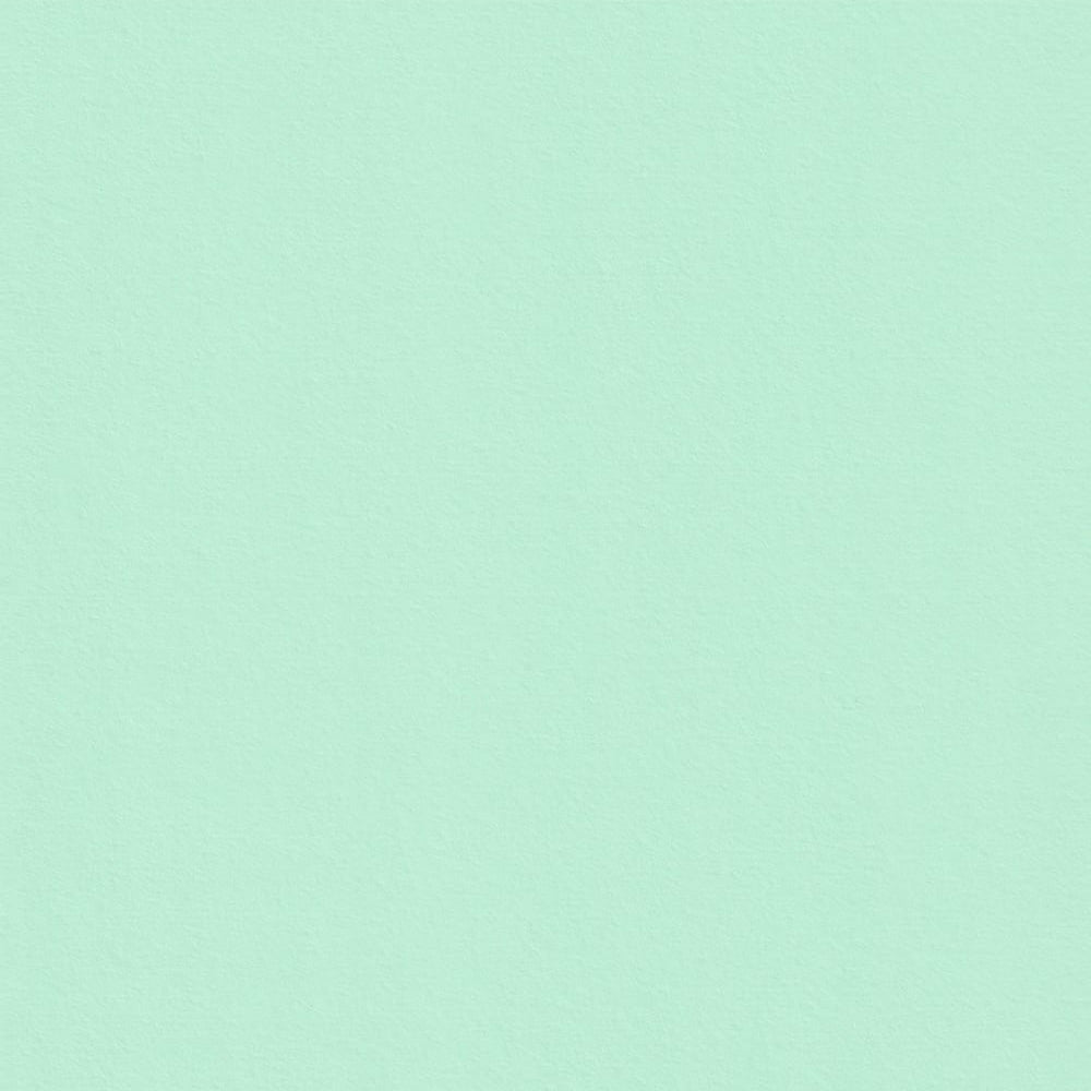 Park Green Cardstock 12 x 12