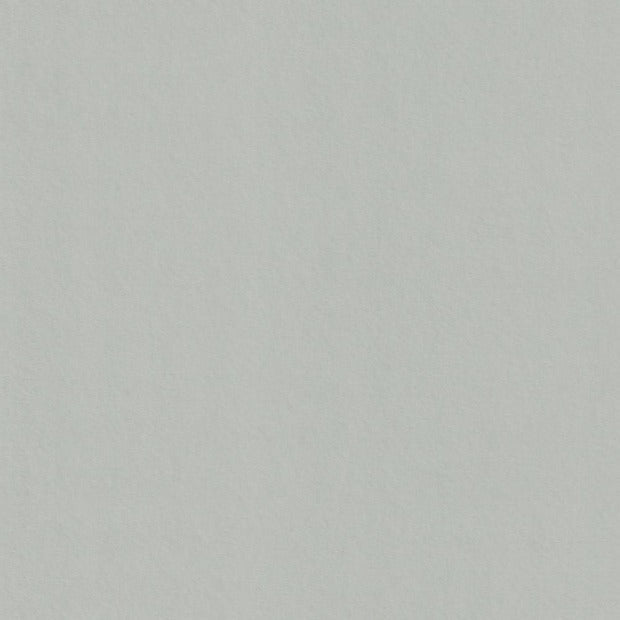 Real Grey Colorplan Cardstock