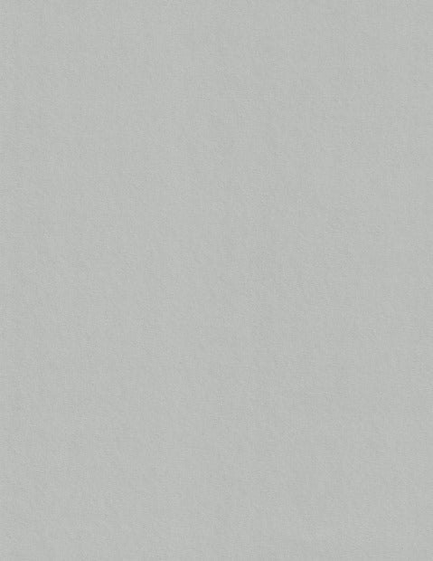 Colorplan Real Grey Cardstock