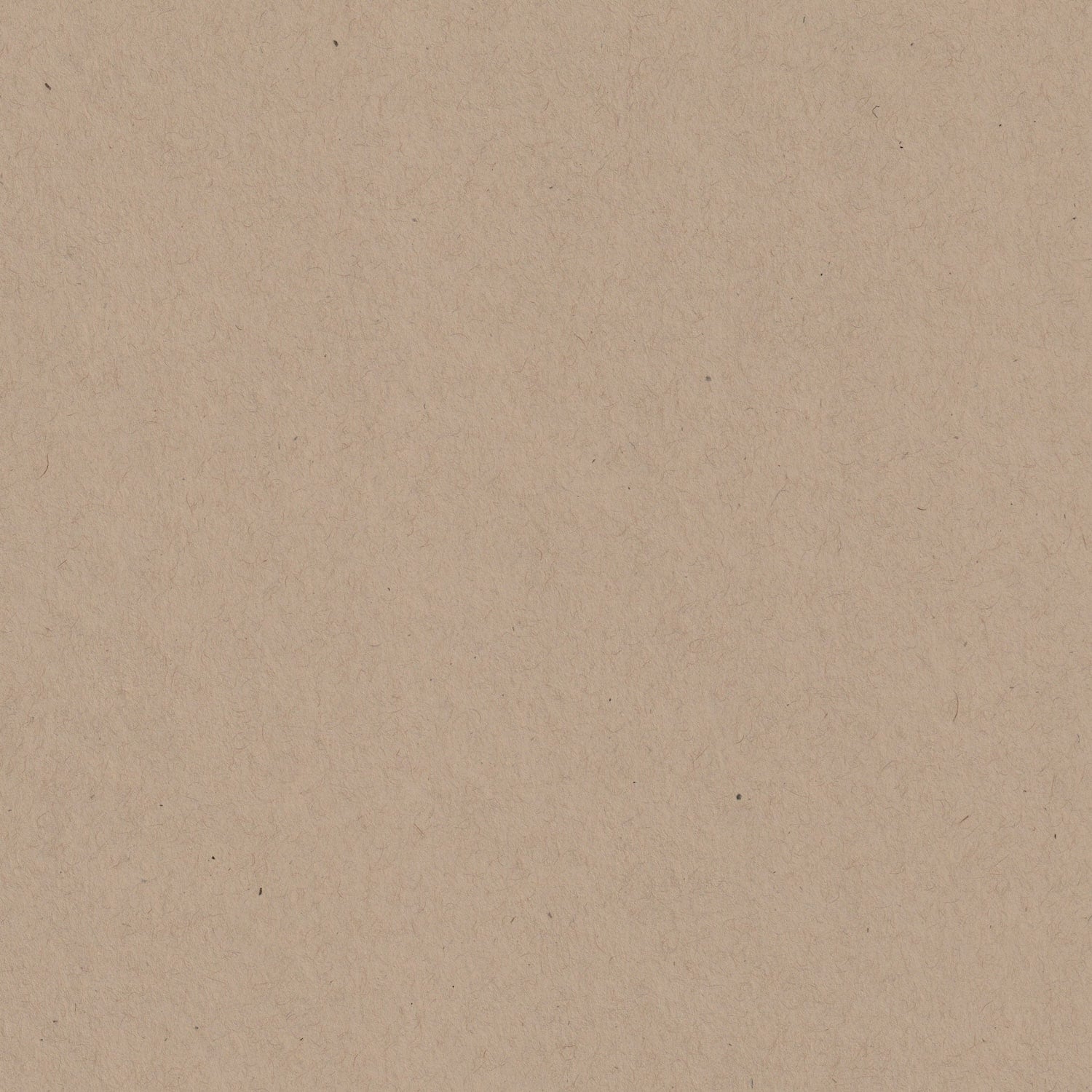 Kraft Speckletone 12x12