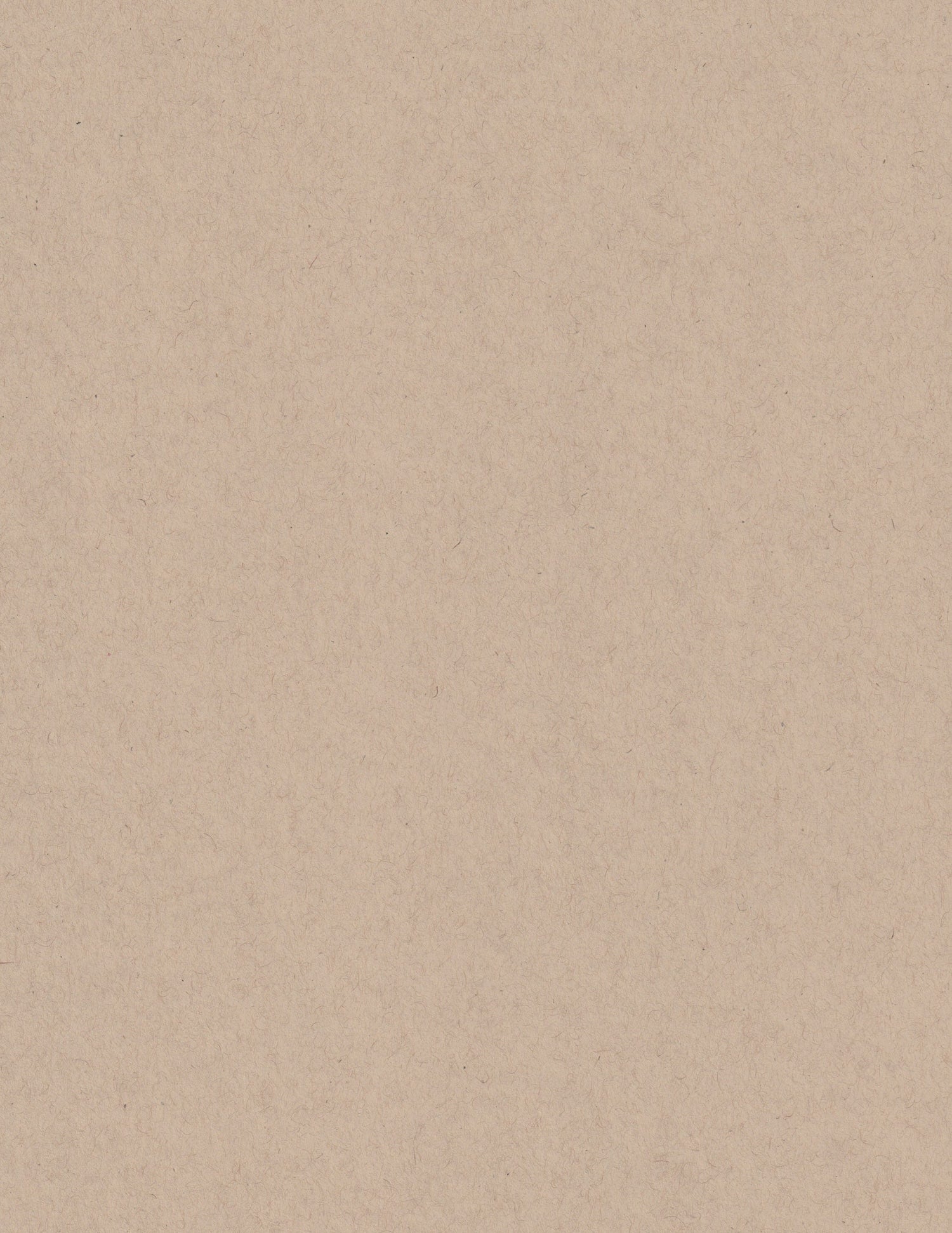 Oatmeal Speckletone 8.5x11