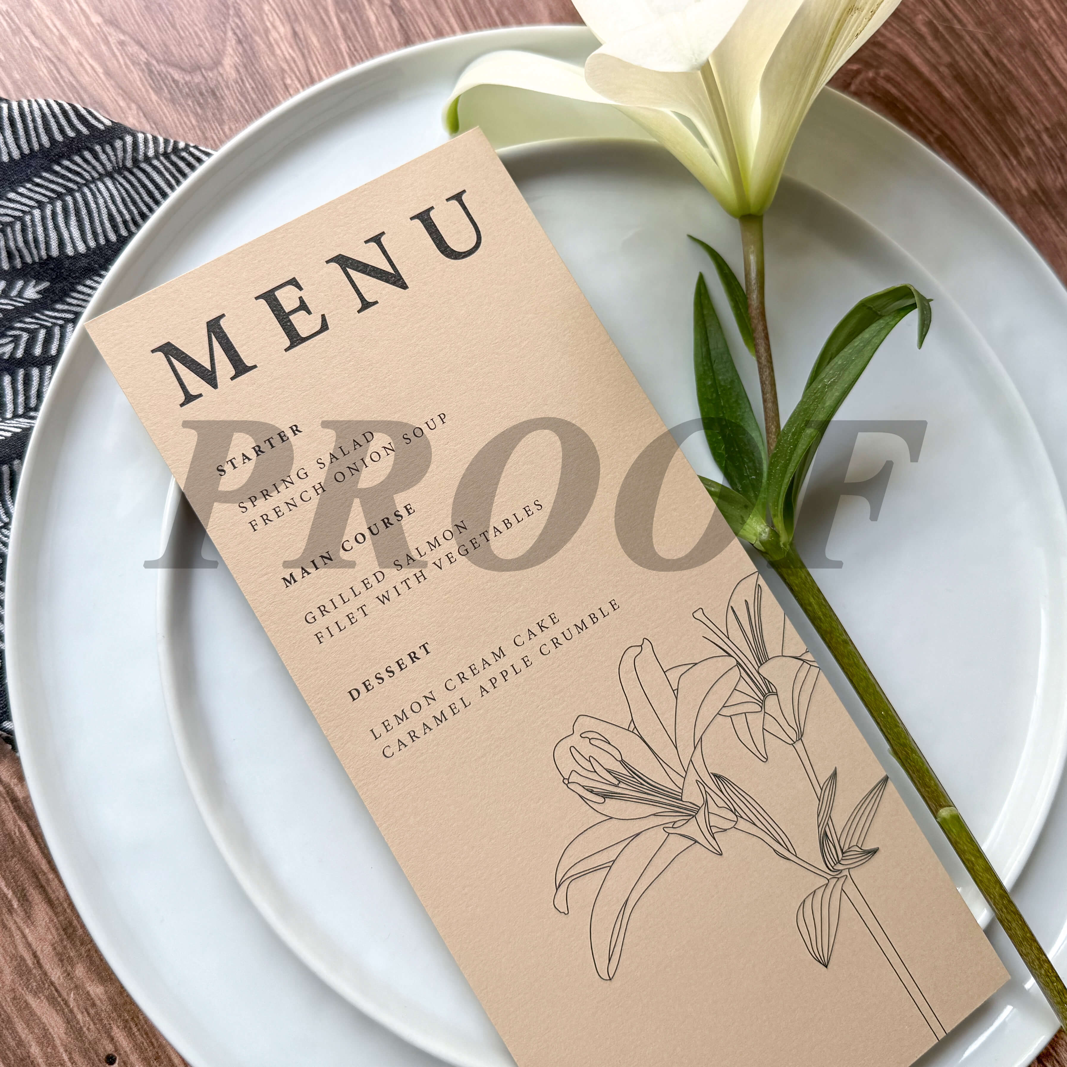 Proof Print Flat Panel Menus & Programs