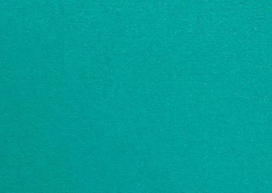 Colorplan Marrs Green Flat Place Cards