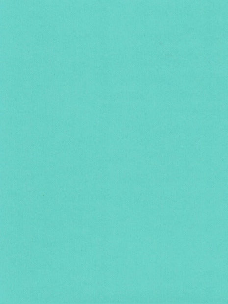 Blu Raspberry-Cardstock Warehouse