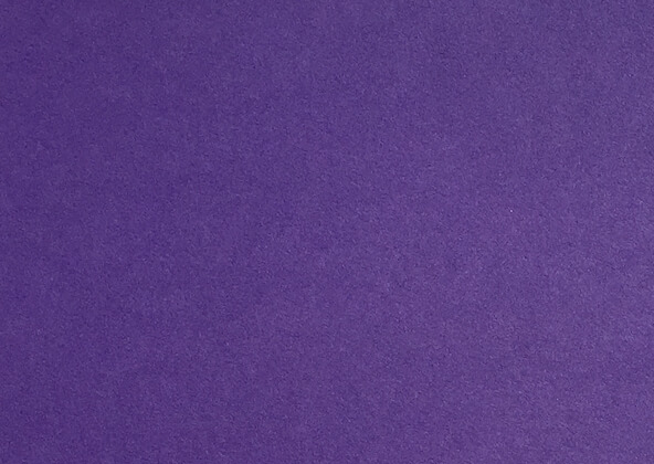 Colorplan Purple Flat Place Cards
