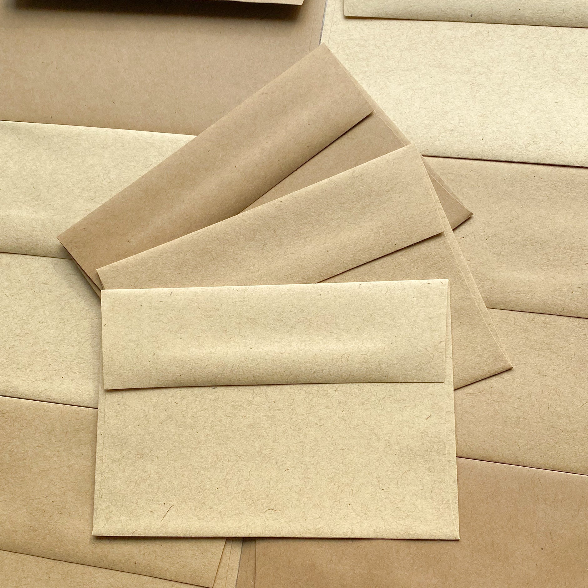 Kraft Cardstock Paper | Envelope Samples | 100% Recycled | Free Shipping