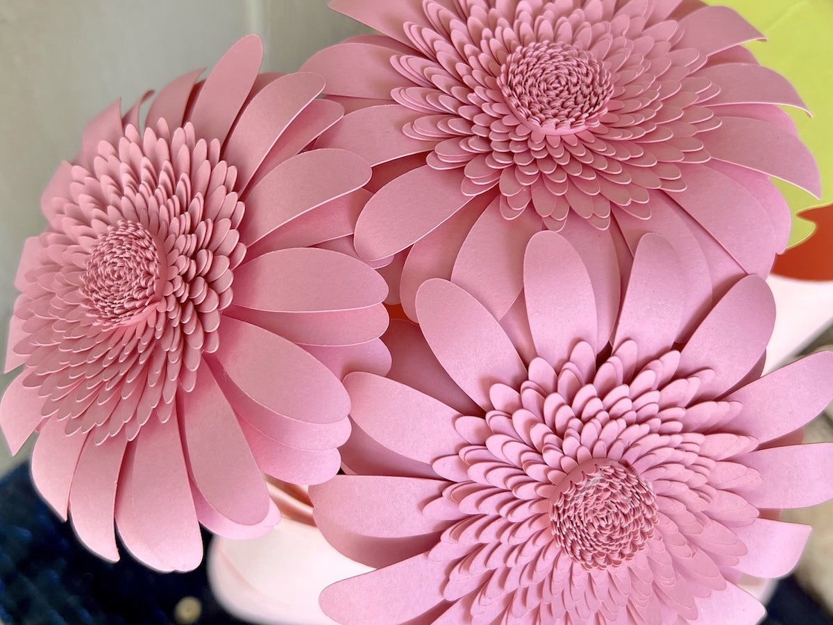 3D Paper Gerbera Daisy Flowers