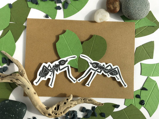 Leaf Cutter Ant Card