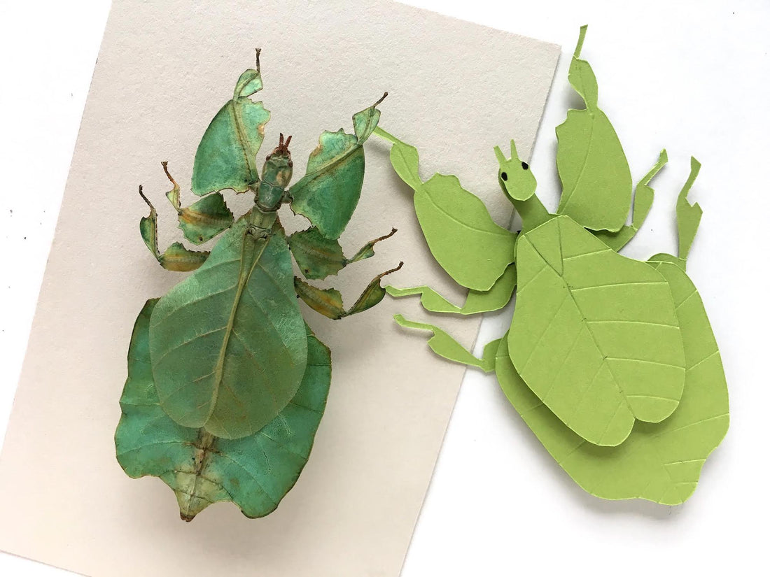 Leaf Insect Paper Sculpture β Cardstock Warehouse