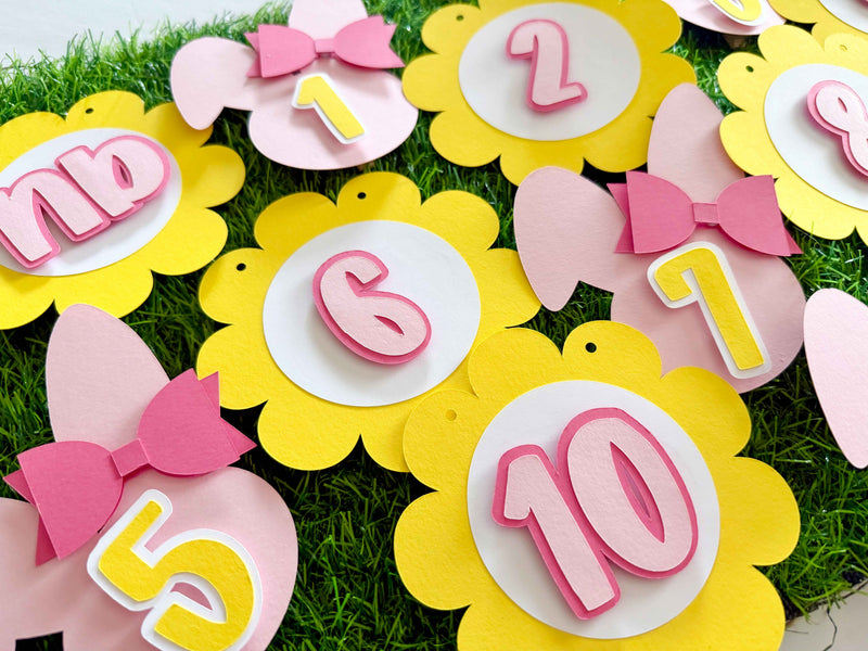 "Somebunny is ONE" 12-month Photo Banner