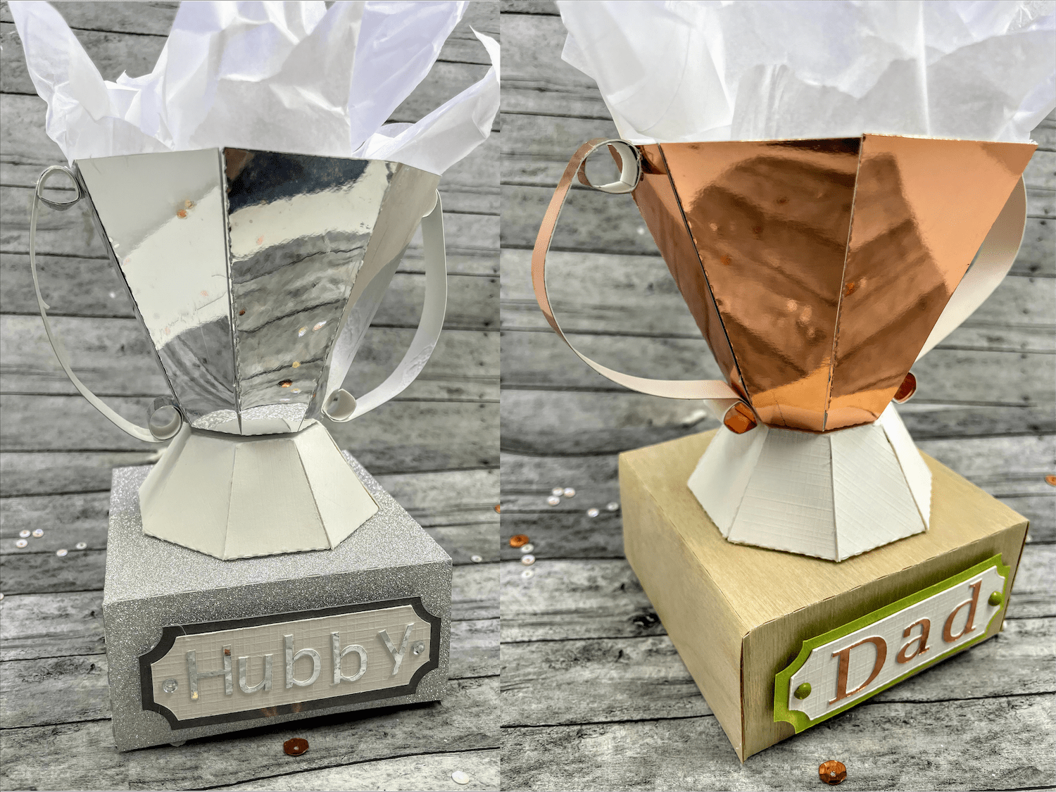 Metallic Father's Day Trophy and Card