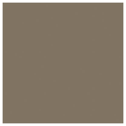 Shitake-1212_Shitake-Cardstock Warehouse