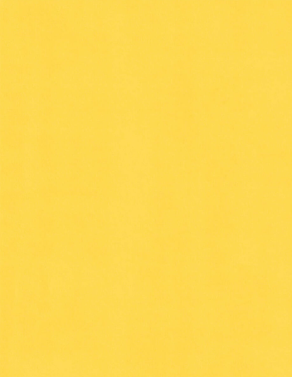 Canary-Cardstock Warehouse