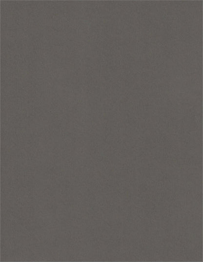 Rhino-Cardstock Warehouse