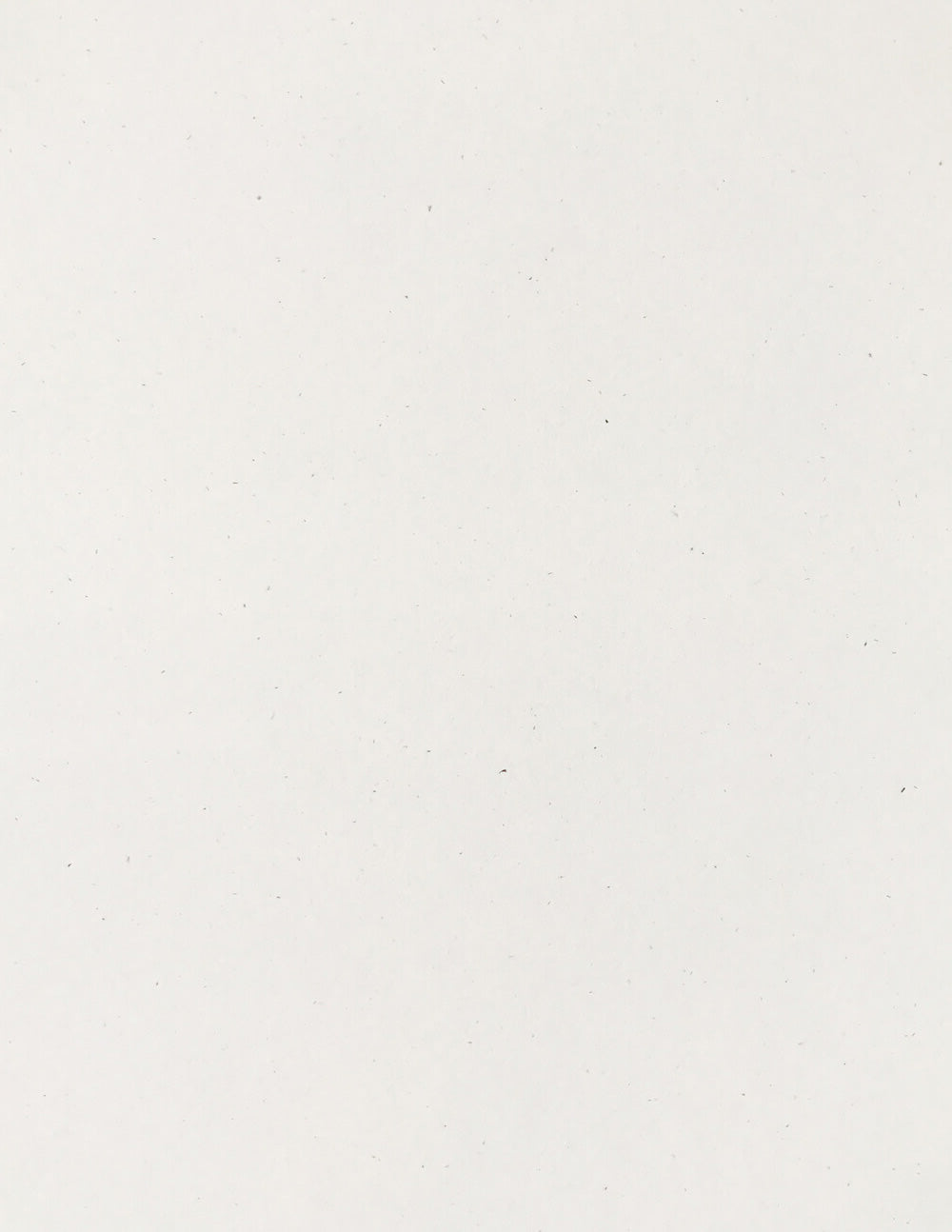 Betulla-Cardstock Warehouse