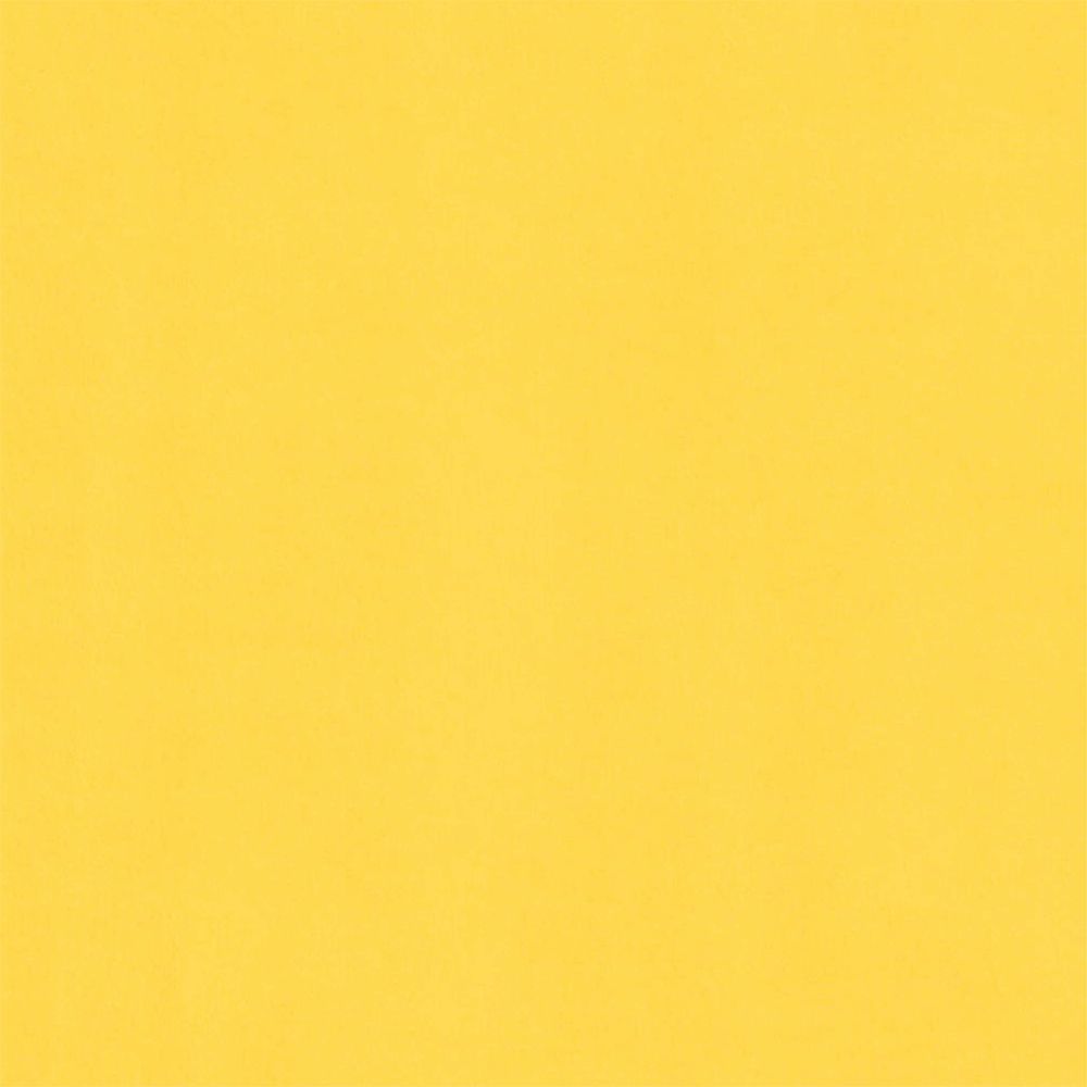 Canary-Cardstock Warehouse