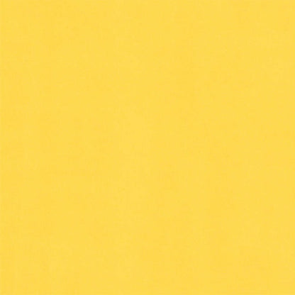 Canary-Cardstock Warehouse