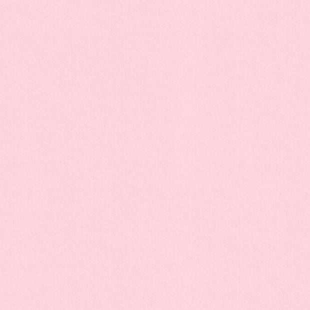 Candy Pink Colorplan Cardstock