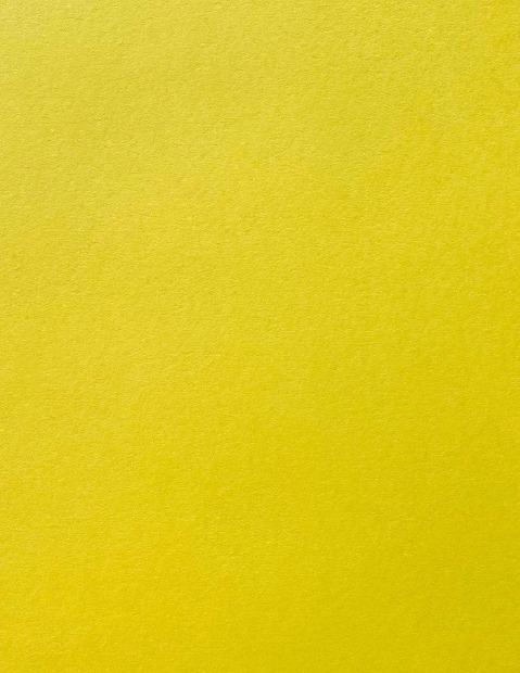 Colorplan Chartreuse Cardstock