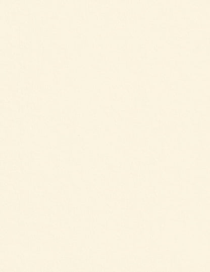 Colorplan China White Cardstock