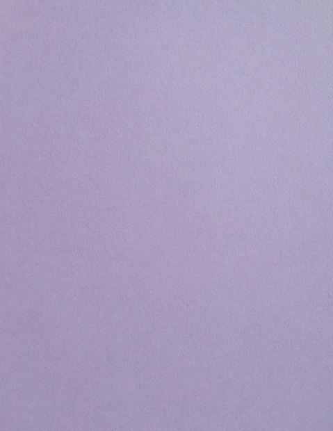 Colorplan Lavender Cardstock