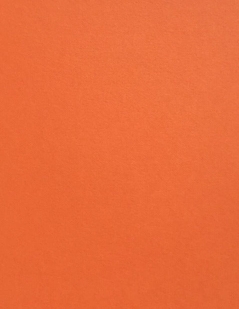 Colorplan Mandarin Cardstock