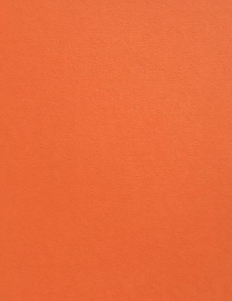 Colorplan Mandarin Cardstock
