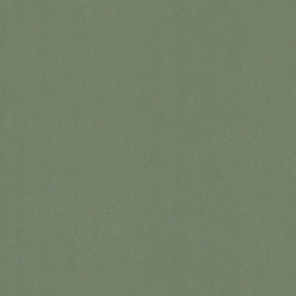 Mid Green Colorplan Cardstock