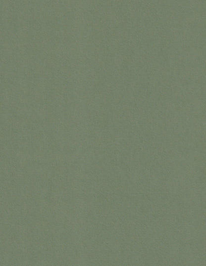 Colrorplan Mid-Green Cardstock