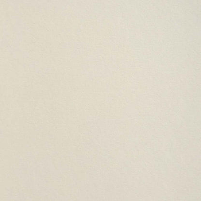 Mist Colorplan Cardstock
