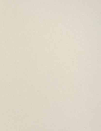 Colorplan Mist Cardstock
