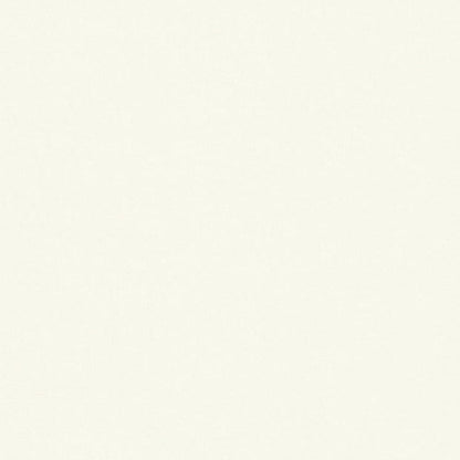 Natural Colorplan Cardstock