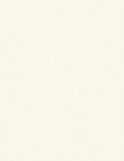 Colorplan Natural Cardstock