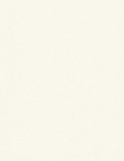 Colorplan Natural Cardstock