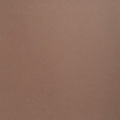 Nubuck Brown Colorplan Cardstock