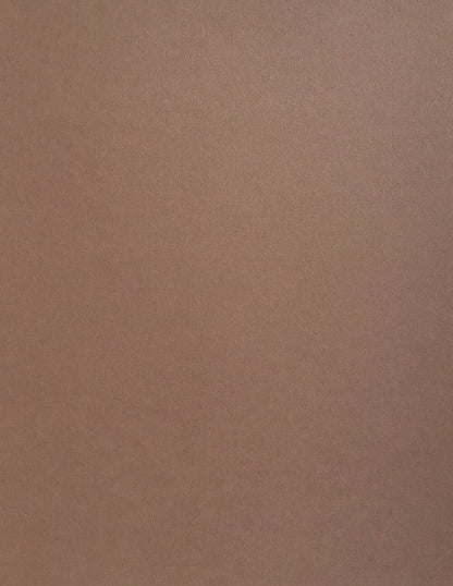 Nubuck Brown Colorplan Cardstock