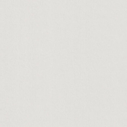 Pale Grey Colorplan Cardstock