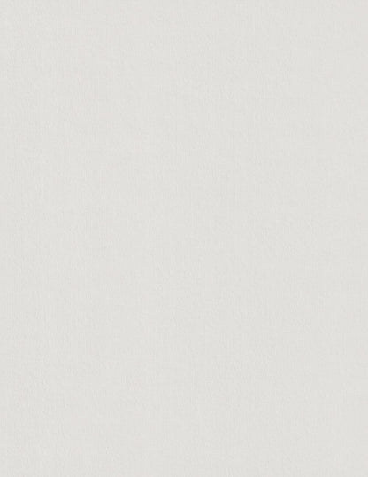 Colorplan Pale Grey Cardstock
