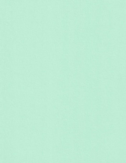 Park Green Colorplan Cardstock