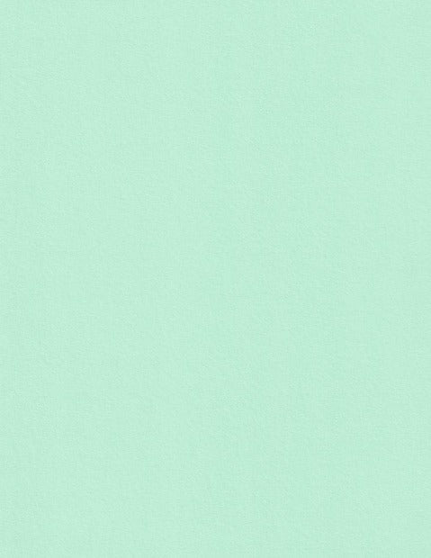 Colorplan Park Green Cardstock