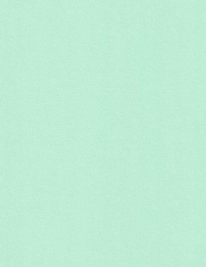 Colorplan Park Green Cardstock
