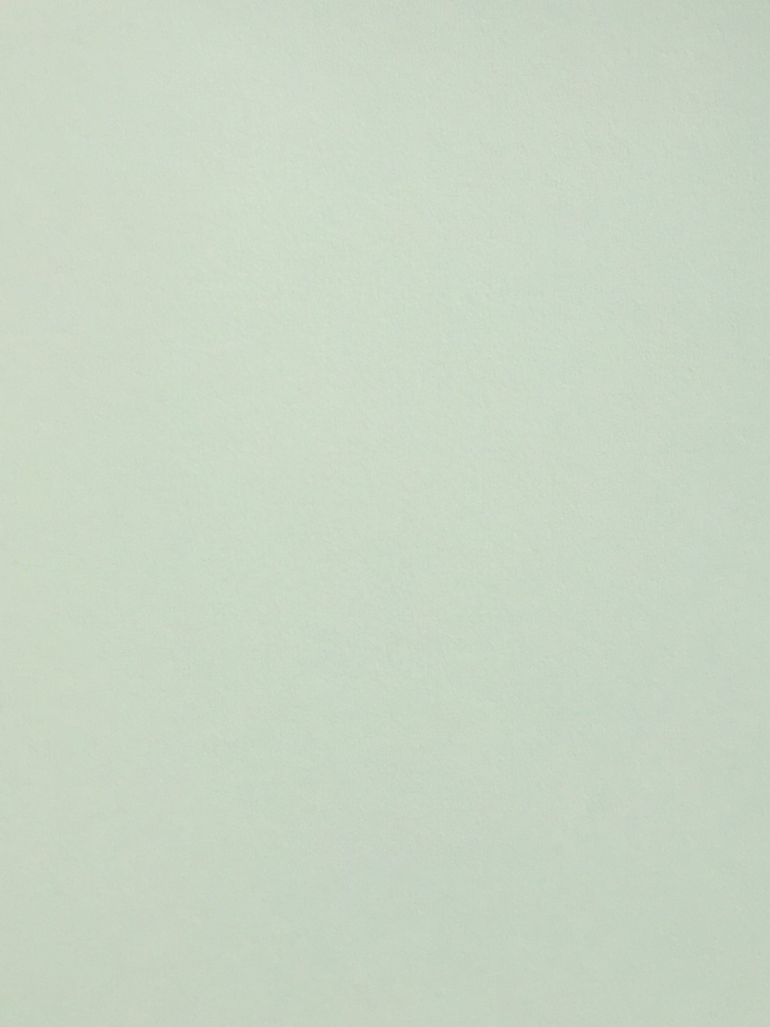 Colorplan Powder Green Cardstock