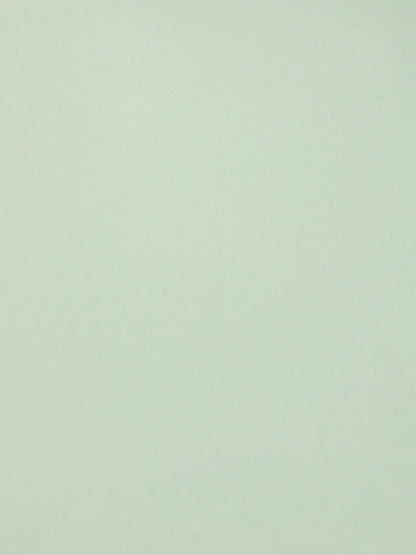 Colorplan Powder Green Cardstock